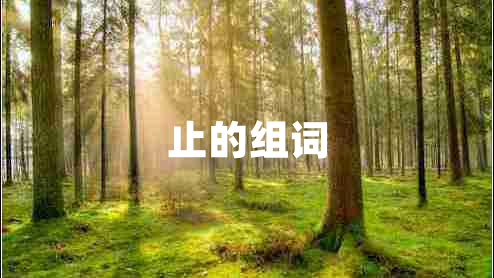 止的組詞