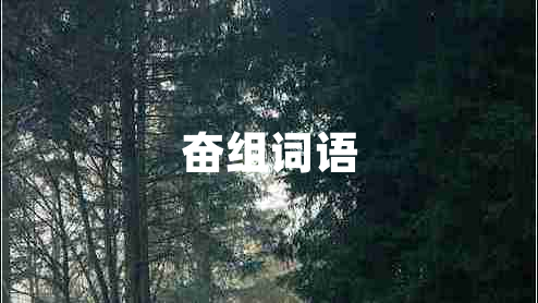 奮組詞語(yǔ)