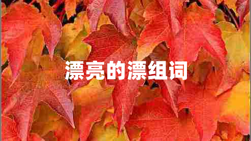 漂亮的漂組詞