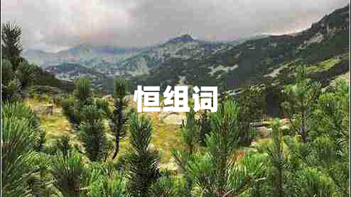 恒組詞