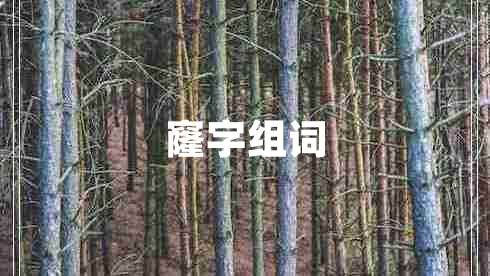 窿字組詞