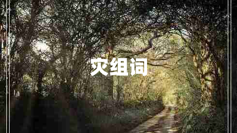 災組詞