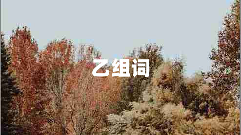 乙組詞