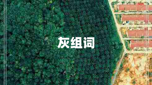 灰組詞