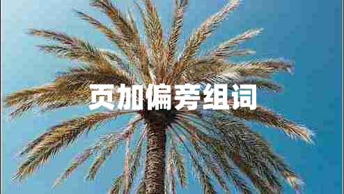 頁(yè)加偏旁組詞