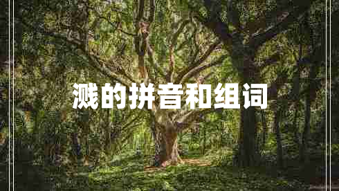 濺的拼音和組詞