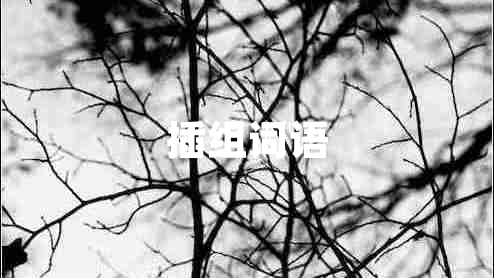 插組詞語(yǔ)