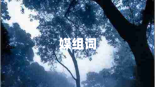 媒組詞