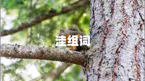 洼組詞