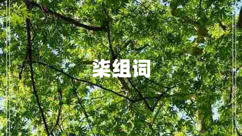 柒組詞