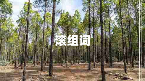 滾組詞