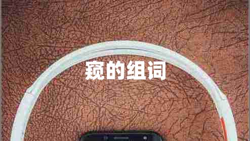 窺的組詞