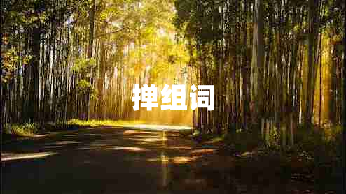 撣組詞