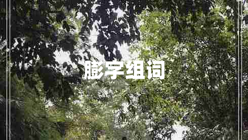 膨字組詞