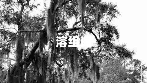 溶組詞