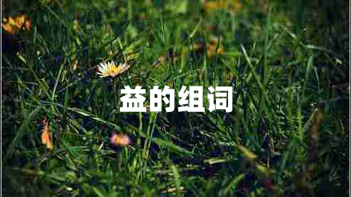 益的組詞