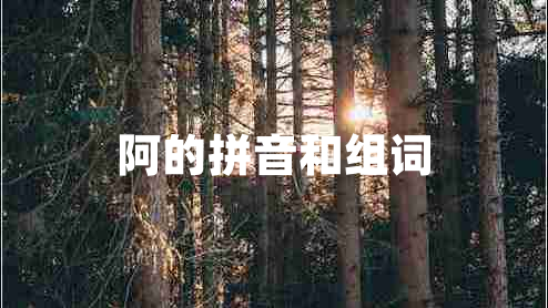 阿的拼音和組詞