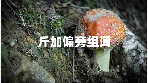 斤加偏旁組詞