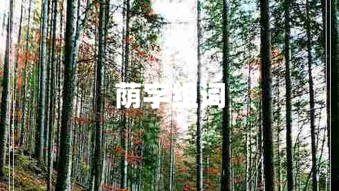 蔭字組詞