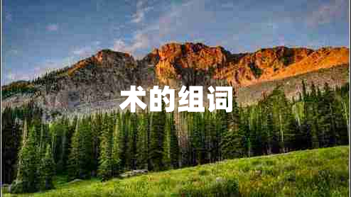 術(shù)的組詞