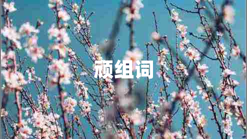 頑組詞