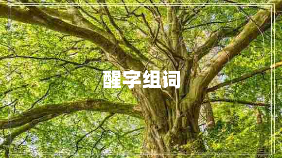 醒字組詞