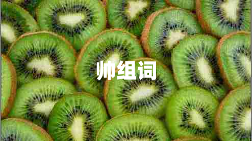 帥組詞