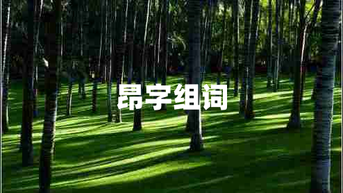 昂字組詞