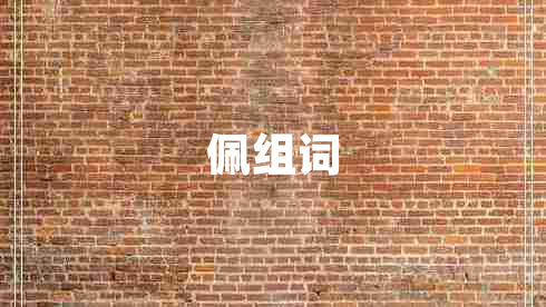 佩組詞