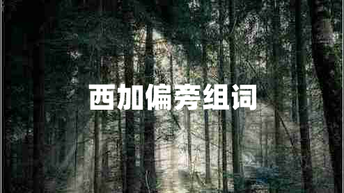 西加偏旁組詞