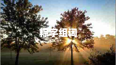 粽字組詞