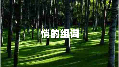 悄的組詞