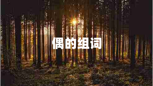 偶的組詞