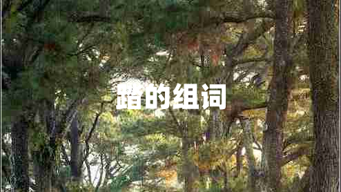 踏的組詞