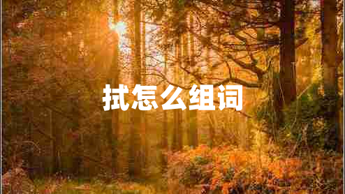 拭怎么組詞