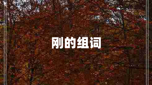 剛的組詞