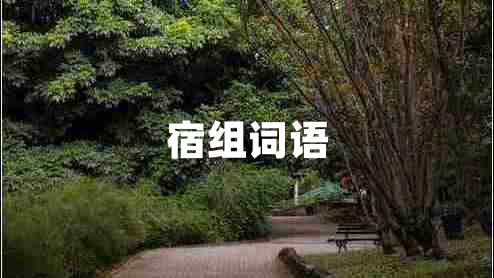 宿組詞語(yǔ)