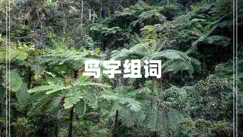鳥(niǎo)字組詞