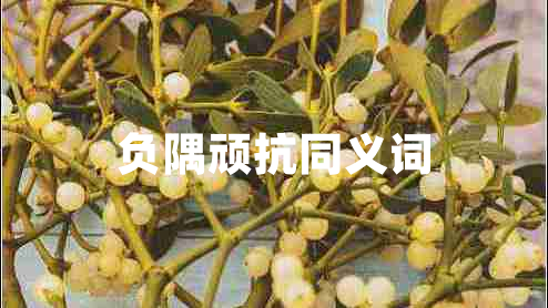 負隅頑抗同義詞