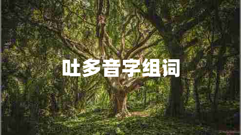 吐多音字組詞