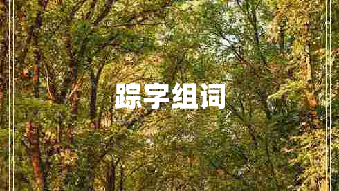 蹤字組詞