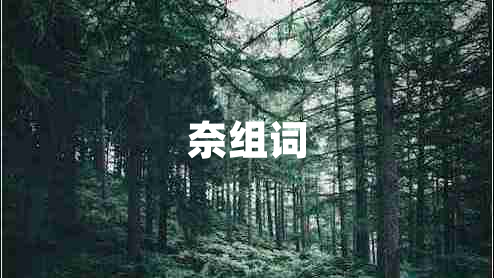 奈組詞