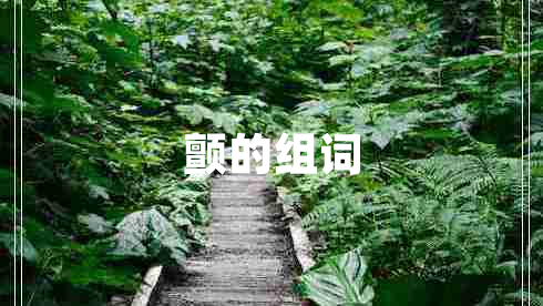 顫的組詞