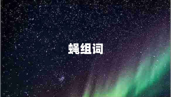 蠅組詞
