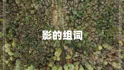 影的組詞