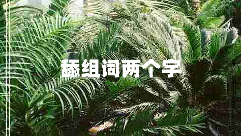 舔組詞兩個(gè)字