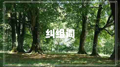 糾組詞