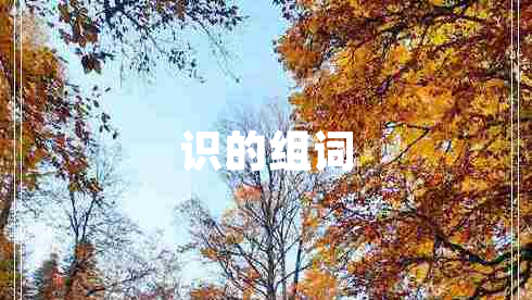 識的組詞