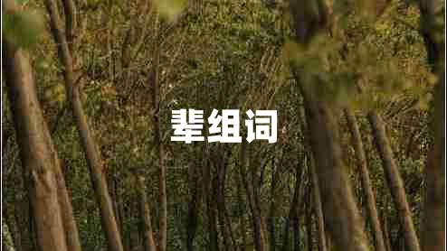 輩組詞