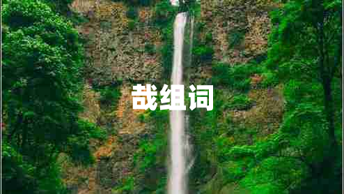 哉組詞